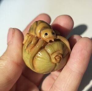 78. Netsuke Tagua Palm Nut Carving Japanese Beetle